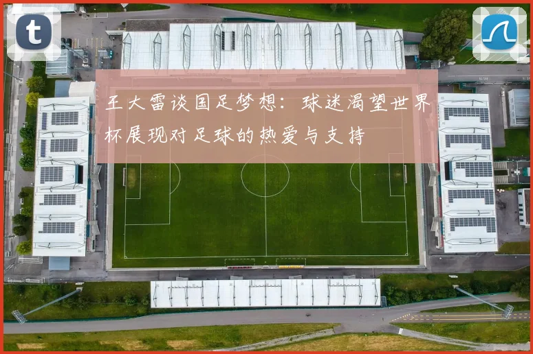 王大雷谈国足梦想：球迷渴望世界杯展现对足球的热爱与支持