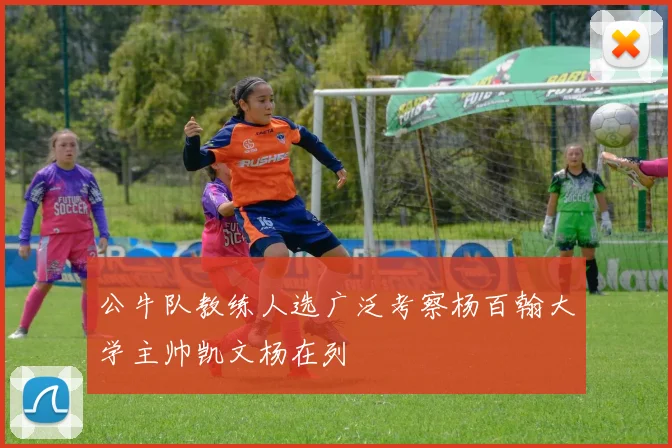 公牛队教练人选广泛考察杨百翰大学主帅凯文杨在列