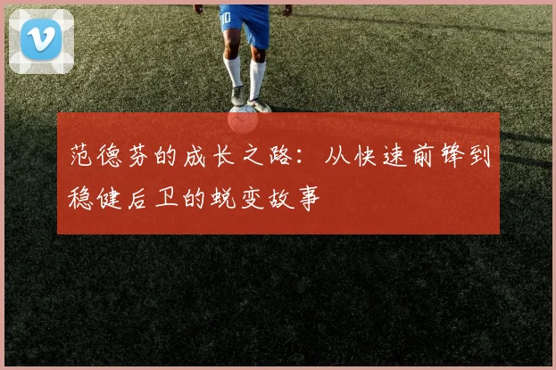 范德芬的成长之路：从快速前锋到稳健后卫的蜕变故事
